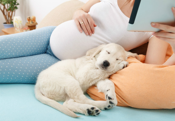 妊娠中に犬を飼う場合 妊婦が飼い犬と過ごす際の注意点 子育て応援サイト March マーチ