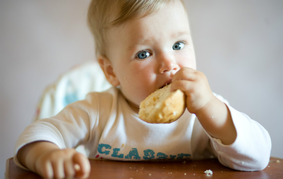 離乳食のパンを食べる赤ちゃん