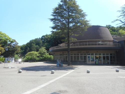 生田緑地公園の景色画像6