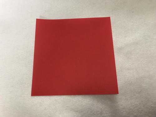 折り紙でカーネーションを折る折り方の手順画像