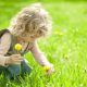 夏は自然の草花でのびのび遊び！子供の探究心や創造力を刺激