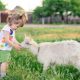 神奈川県周辺で子供お出かけ！動物と触れ合える人気スポット