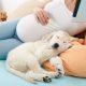 妊娠中に犬を飼う場合、妊婦が飼い犬と過ごす際の注意点